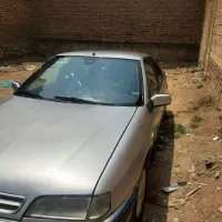 زانتیا فروشی