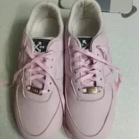 کفش|کیف، کفش، کمربند|بجنورد, |دیوار