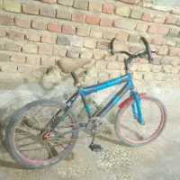 دوچرخه بیست درحدود سالم