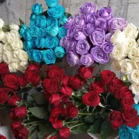 به مناسبت روز دختر و هر هفته تخفیف