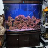 اکواریوم خارجی