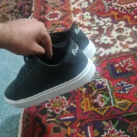 سایز ۴۳