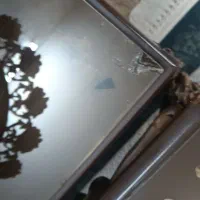 شیشه میز پذیرایی|مبلمان خانگی و میز عسلی|الیگودرز, |دیوار