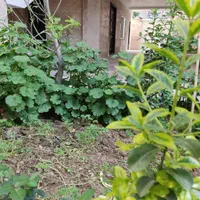 سوییت اجاره روزانه وهفتگی ویلاشهر20خوش محمدی ۱۳|اجارهٔ کوتاه‌مدت آپارتمان و سوئیت|گرگان, |دیوار