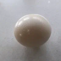 تخم شترمرغ خالی|صنایع دستی و سایر لوازم تزئینی|مشهد, مصلی (کارمندان اول)|دیوار