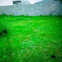 باغبانی.. زدن علف هرز با دستگاه