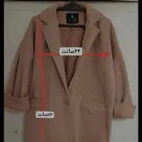 پالتو