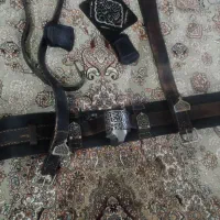 هیکلی (کمربند علامت کشی)