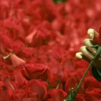 دعوت به همکاری در کلینیک ترک اعتیاد