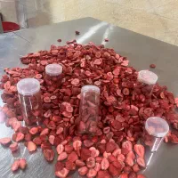 میوه خشک توت فرنگی فریز درایر|خوردنی و آشامیدنی|پردیس, شهرک صنعتی خرمدشت فاز ۷|دیوار