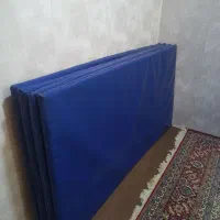 ورزشی