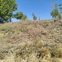 فروش-باغ-رودبال