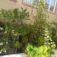 اجاره-روزانه