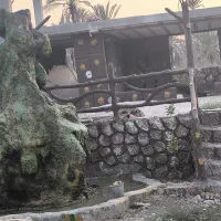 باغ دو هزار متر جم نیلاب باسندثبت وچاه اب5 ملیارد|فروش دفتر صنعتی، کشاورزی، تجاری|جم, |دیوار