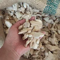 فروش عمده زنجبیل قلم، پودر و روغن زنجبیل درجه یک|عمده‌فروشی|ری, منصوریه منگل|دیوار