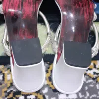 کفش مجلسی بسیارشیک|کیف، کفش، کمربند|پرند, فاز ۶|دیوار