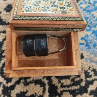 حرفه ای مضراب