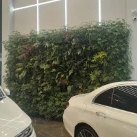 دیوار سبز|گل و گیاه طبیعی|کرج, دهقان ویلا|دیوار