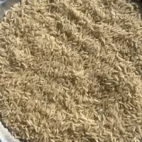 برنج درجه ۱برداشت سیروان