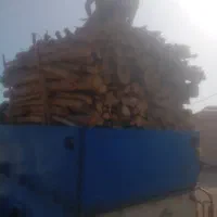 حرص وخرید فروش چوپ شما