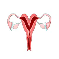 لابیاپلاستی،زگیل،فیلر،خال برداری لیزری،مزومووپوست|خدمات آرایشگری و زیبایی|شهریار, شهریار|دیوار