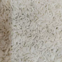 مقدار محدودی برنج هاشمی اعلا خالص|خوردنی و آشامیدنی|اصفهان, دشتستان|دیوار