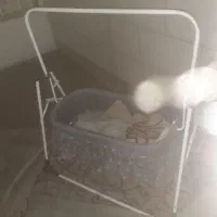 گهواره سالم