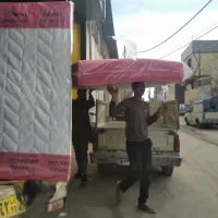 رویال تخصصی درشیروان