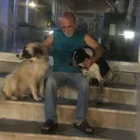 واگذاری رایگان سگ نگهبان