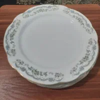 ظرف غذا خوری|ظروف سرو و پذیرایی|رامهرمز, |دیوار