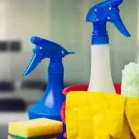 خدمتکار خانم