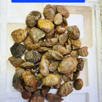 پک عقیق اقتصادی