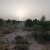 جذب نیروی خدماتی دهیاری