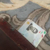 کارت ملی پیداشده