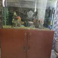 آکواریوم شیشه خم شرکتی ۱ متر