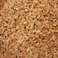 بادام زمینی|خوردنی و آشامیدنی|پارس‌آباد, |دیوار