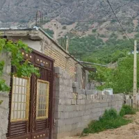 نیازمند سوییت یا اتاق اجاره ای واسه یک سال