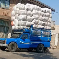 کاه|لوازم جانبی حیوانات|مسجد سلیمان, |دیوار