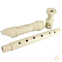 ریکوردر یا فلوت