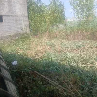 زمین مسکونی|فروش زمین و ملک کلنگی|رشت, خرسندی|دیوار