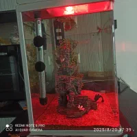 اکواریوم ماهیران|ماهی|اصفهان, گلستان|دیوار