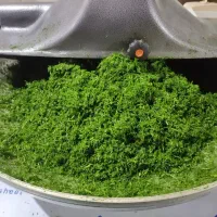 سبزی خردکن صنعتی
