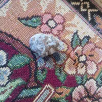 سلام عرض ادب دارم تک تک عزیزان گلم