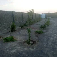ملک