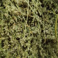 یونجه هزار و پانصد بند|لوازم جانبی حیوانات|خلخال, |دیوار