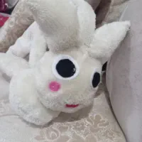 کوش گیر|لباس|پارس‌آباد, |دیوار