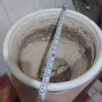 گلدان|گل و گیاه طبیعی|تبریز, |دیوار