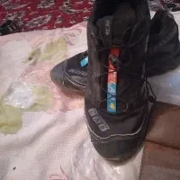 کفش کتونی مردانه و زنانه|کیف، کفش، کمربند|خسروشاه, |دیوار