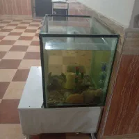 آکواریوم مانستر ۲۵۰ لیتری