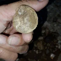 فروش سنگ معمولی یا